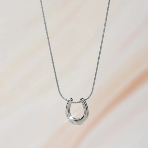 Titanium steel simple horseshoe pendant necklace for women, versatile and high-end stainless steel electroplated collarbone chain sweater chain