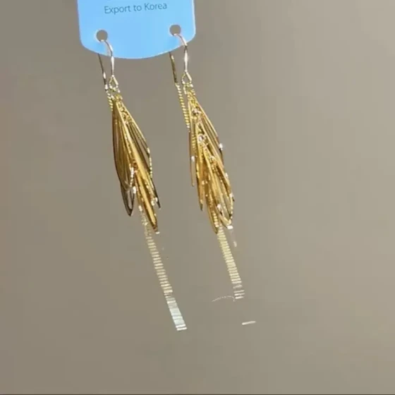 New stylish and elegant long winged tassel earrings with a luxurious and high-end feel, popular women's earrings