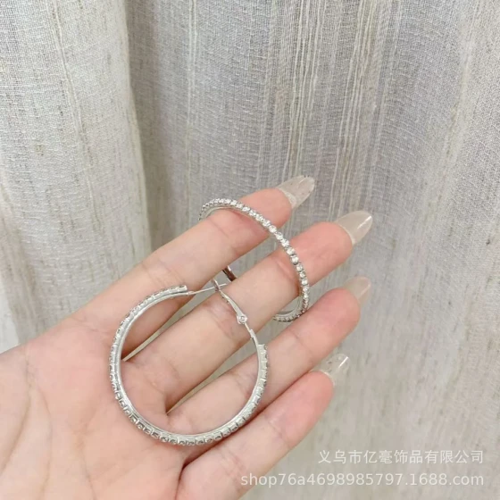 Silver needle earrings with diamonds, round exaggerated design, elegant and light luxury, minimalist style, versatile ins Earrings with a high-end and fashionable feel