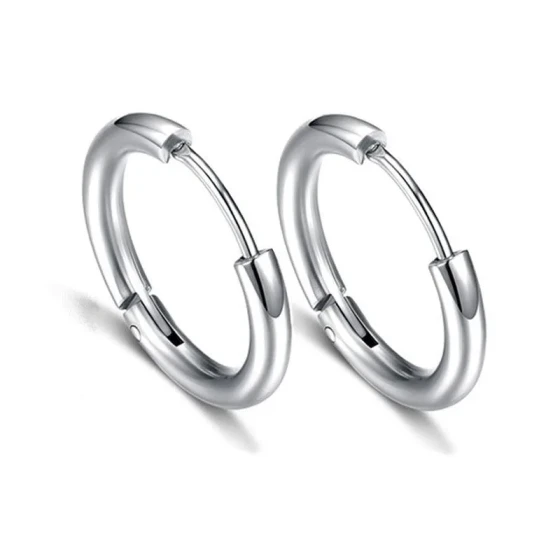 Stainless steel earrings Minimalist earrings, pierced ear accessories, ear hoops Ear buckle jewelry