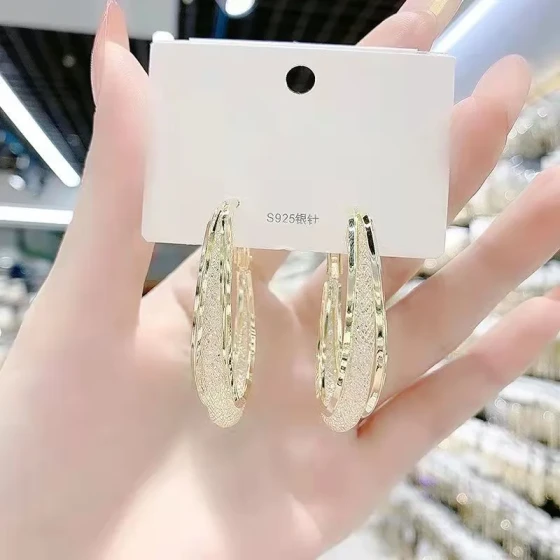 Mesh zircon circle earrings, Korean style, exquisite and elegant, high-end feel, new niche design, light luxury earrings