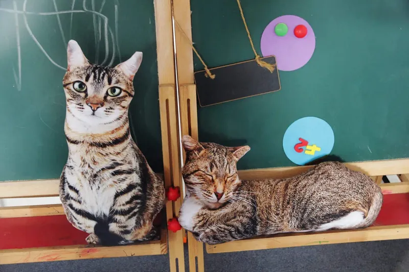 50 cm lebensechtes Plüsch-Katzenkissen, gefülltes 3D-Druck-Tierkatzen-Wurfkissen, Heimdekoration, Geschenk für Automenschen — image 9