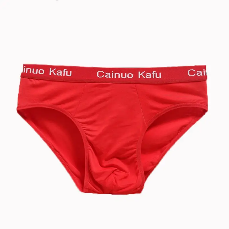 10Pcs/Lot Fashion Men's Panties Underwear Men Size Briefsr Bikini Pant Men Comfortable Sexy Slip Underpants Hot L-5XL