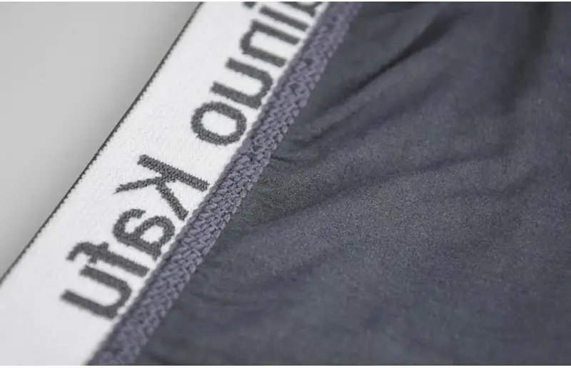10Pcs/Lot Fashion Men's Panties Underwear Men Size Briefsr Bikini Pant Men Comfortable Sexy Slip Underpants Hot L-5XL