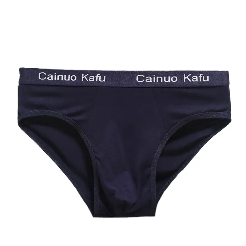 10Pcs/Lot Fashion Men's Panties Underwear Men Size Briefsr Bikini Pant Men Comfortable Sexy Slip Underpants Hot L-5XL