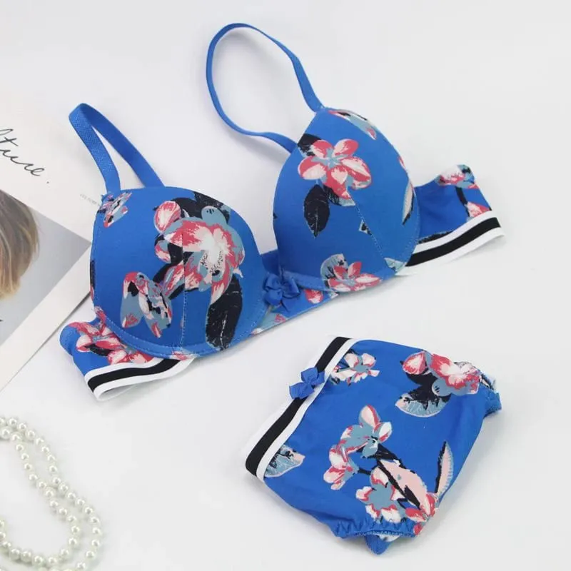 DaiNaFang 2 Pieces BCDE Cup Bras Set Push Up Underwear Sets Womens Embroidery Bralette Underwire Breathable Lady Lingerie