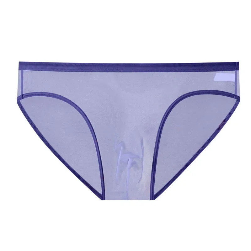 Transparent Underwear Hot Man Pants Ultra-thin Perspective Mid-rise Male Mesh Slips Homme Panties Plus Size — image 13