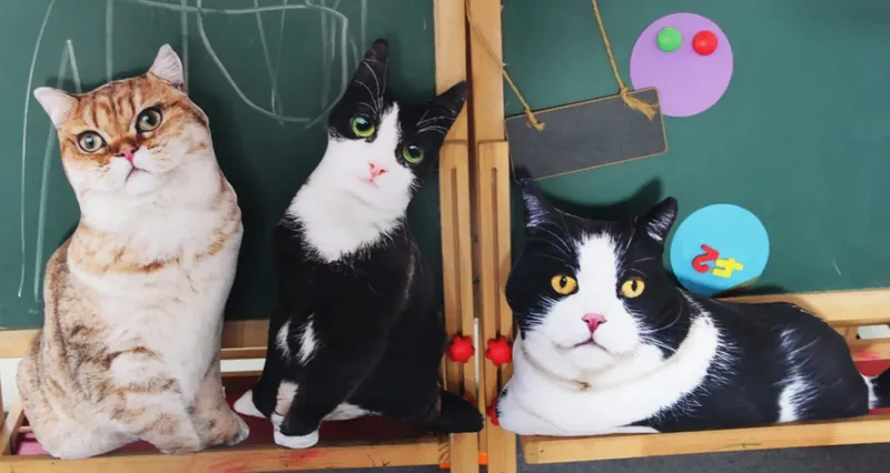 50 cm lebensechtes Plüsch-Katzenkissen, gefülltes 3D-Druck-Tierkatzen-Wurfkissen, Heimdekoration, Geschenk für Automenschen — image 8