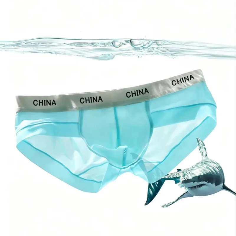 Slip en soie glacée pour hommes, Ultra fin, respirant, transparent, sous-vêtements doux, large ceinture, culotte confortable et fraîche, couleur aléatoire, 1 pièce