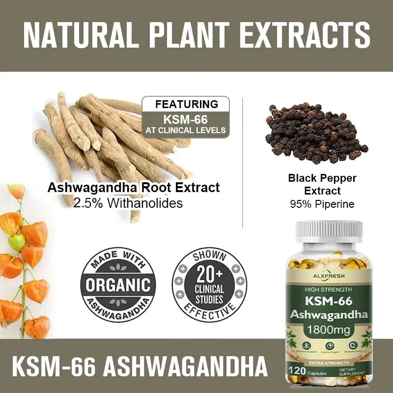 KSM-66 Capsule di Ashwagandha organiche con zinco | Vegano non OGM | Integratore sanitario dalla formula premium