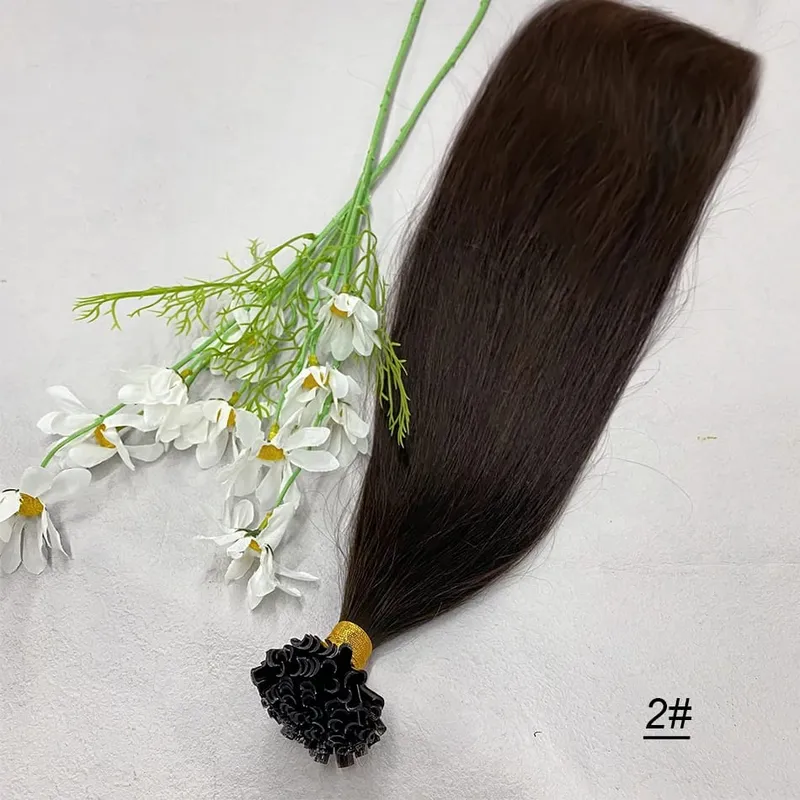 Full Shine U Tip Hair Extensions Nature Black Hair Blone 613 Color 50g Keratin Glue Beads Prebonded Remy Human Hair Extensions