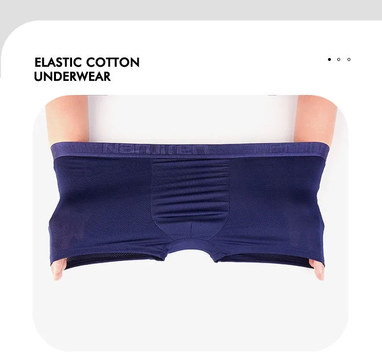 4pcs Ice Silk Mesh Boxer Shorts Men's Underwear Cool Underpant Breathable Sexy Slim Panties Bamboo Lingerie Wholesale Lots L-6XL 3256806582323621