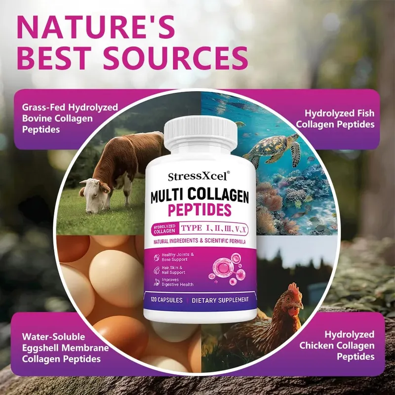 Multi Collagen Peptides Capsules Type I II III V X Biotin Anti-Aging Skin Hair Nails Joints Gut & Immunity Support — image 5