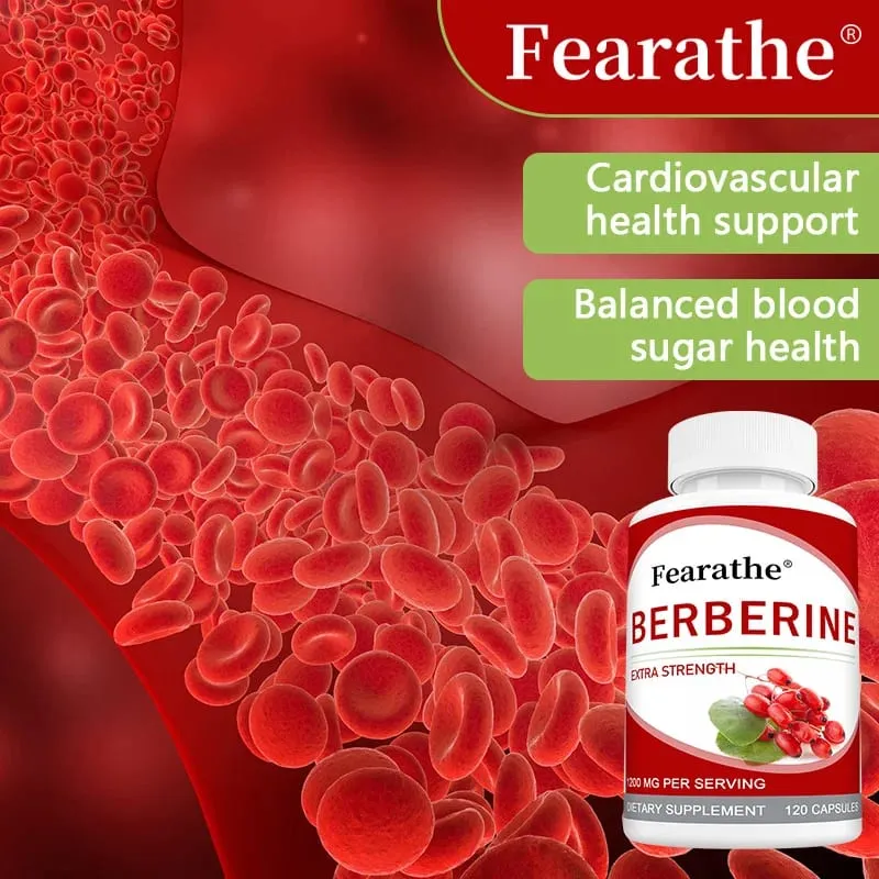 High-potency Berberine Supplement Antioxidant Supports Cardiovascular and Blood Sugar Health Gastrointestinal Health — image 6