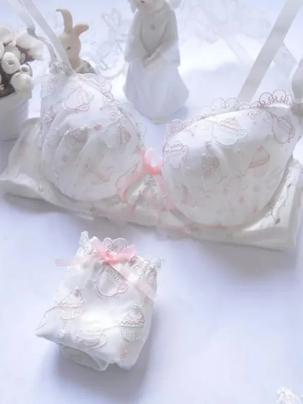 Japanese White Blue Underwire Lolita Embroidered Thin Cup Girl Cute Push Up Sexy Lingerie Bra Set D E