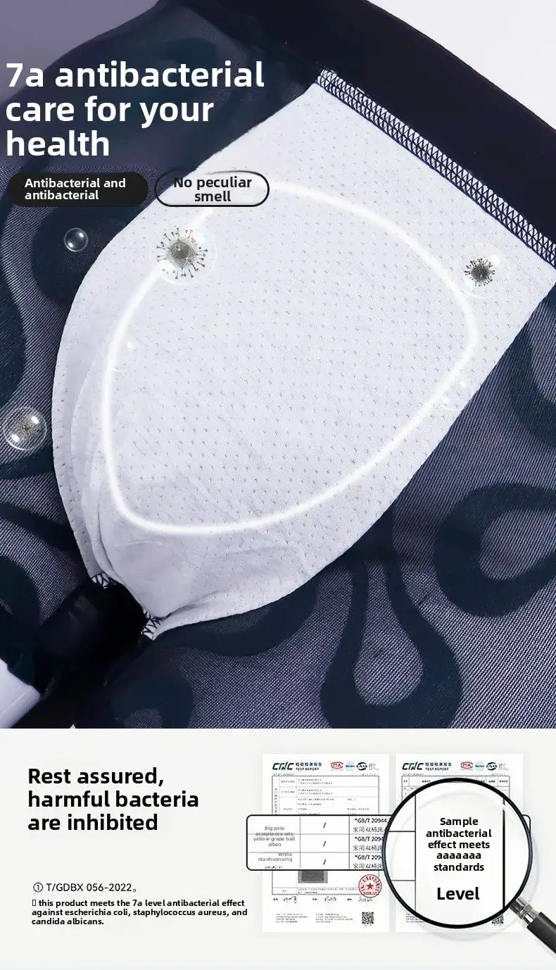 Boxer floqué en maille transparente pour hommes, 2 pièces, avec large ceinture élastique, très extensible, multicolore en option, grande taille, sous-vêtements masculins
