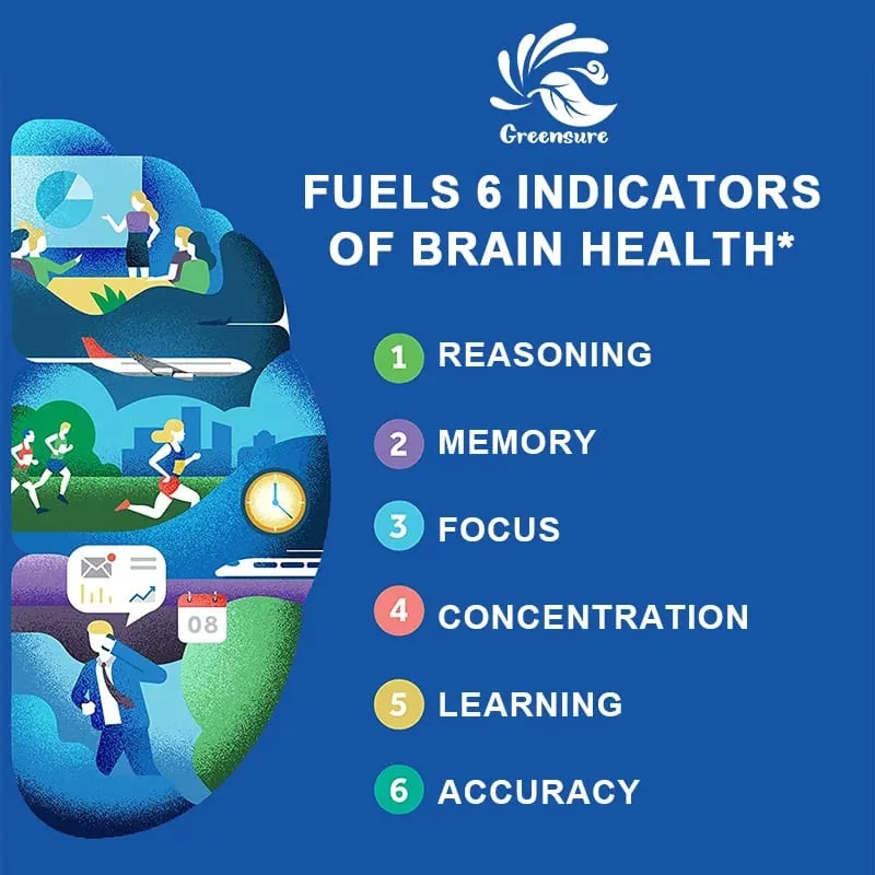 Brain Capsules with Ginkgo Biloba B6 Memory Focus Intelligence Brain Function Health
