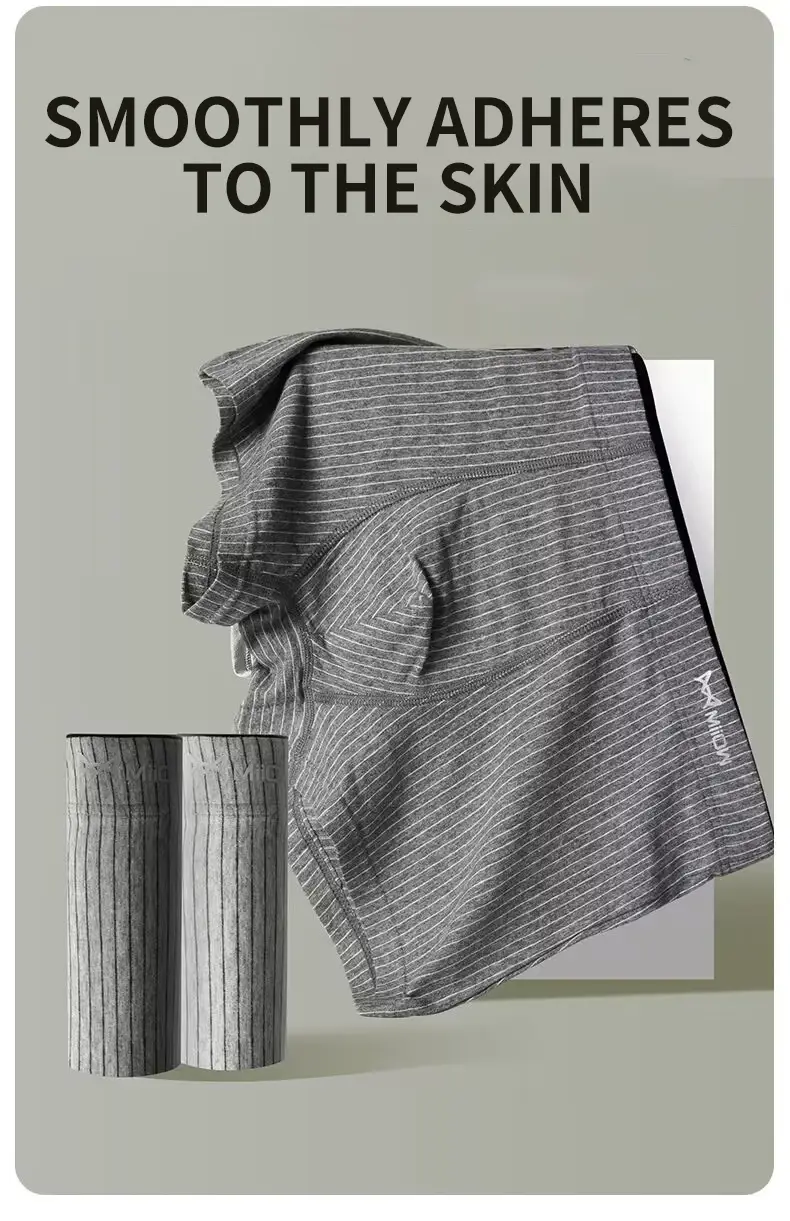 MiiOW 4Pcs Cotton Men's Boxer Underwear Graphene Antibacterial Man Trunks Breathable Striped Men Underpants Boxers Male Panties — image 2