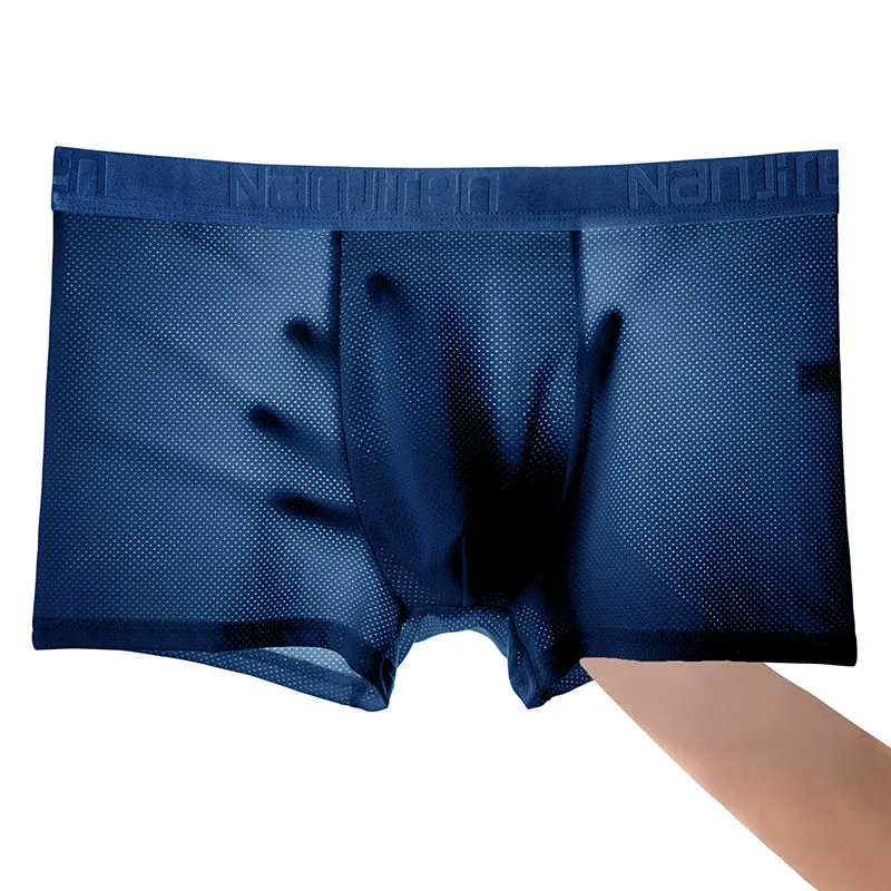 4pcs Ice Silk Mesh Boxer Shorts Men's Underwear Cool Underpant Breathable Sexy Slim Panties Bamboo Lingerie Wholesale Lots L-6XL 3256806582323621