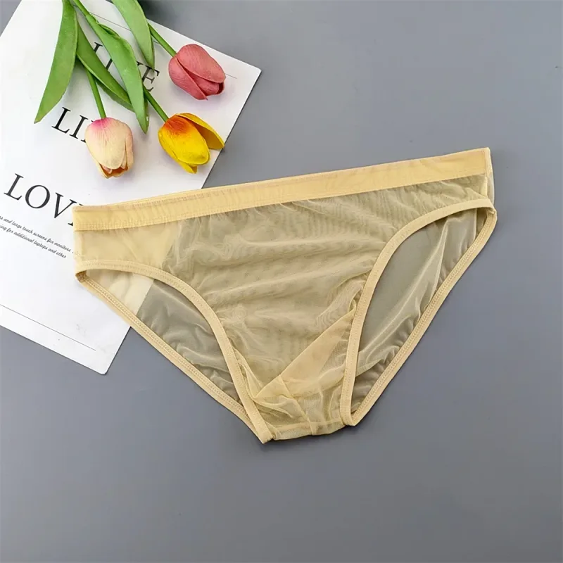 5pcs Transparent Mesh Underwear for Men Ultra-thin Perspective Mid-rise Male Pouch Slips Homme Panties Plus Size