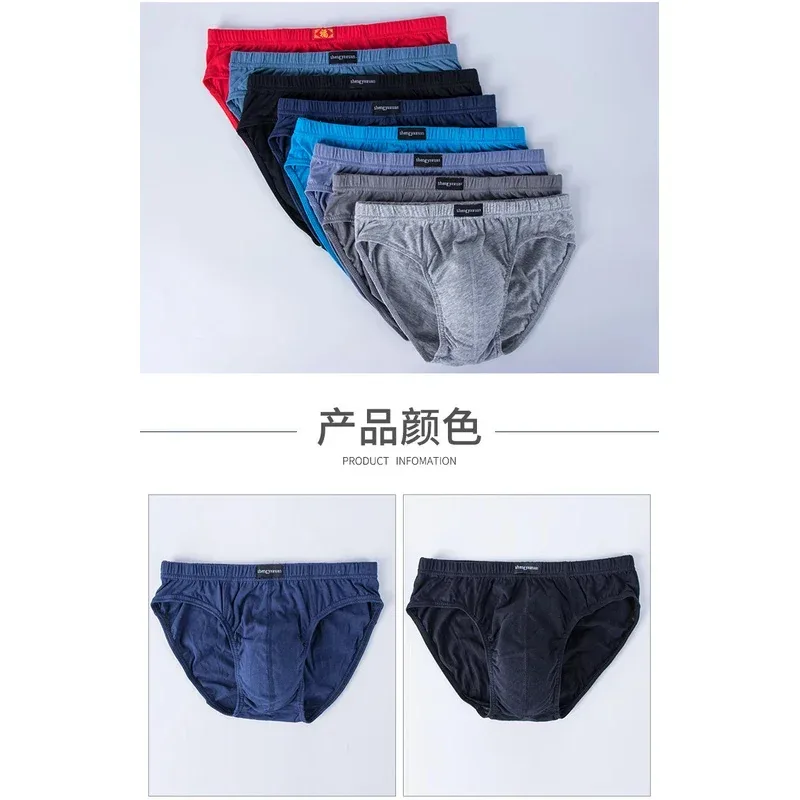 男士棉質內褲男內褲男內褲內褲褲短褲性感內褲尺寸 XL 至 6XL 2/3/4/5 件/批 — image 5