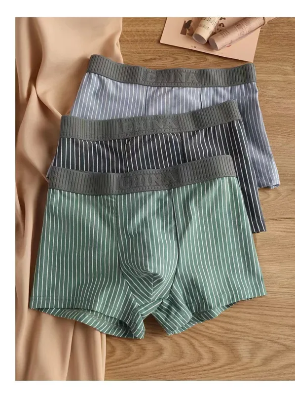 4Pcs Boxer Shorts Men's Underwear Sexy Panties Cotton Boxers Striped Underpants Male Shorts U Convex Lingerie Plus Size L-6XL