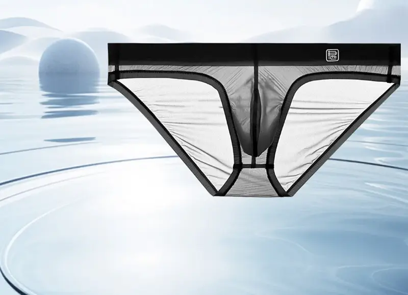 Ice Silk Ultra-thin Men Underwear Seamless Transparent Quick Drying Briefs Sexy U Bulge Pouch Triangle Underpants Erotic Panties — image 5