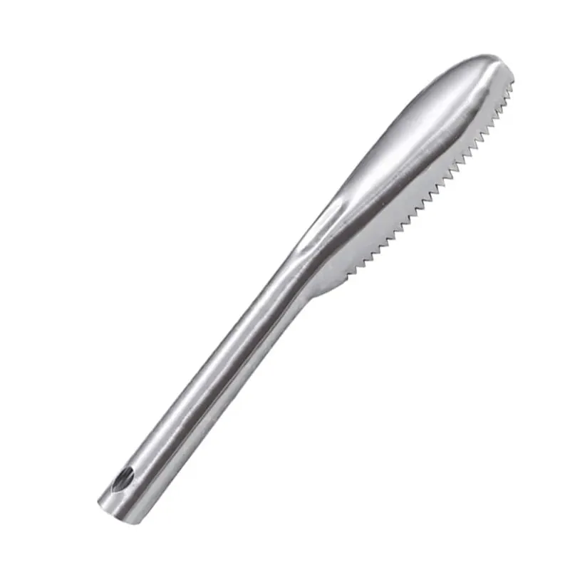 Fish Scaler Remover Cleaner With Sawtooth Easily Remove Fish Scales For Home Kitchen Fish Cleaning Seafood Tools Descaler