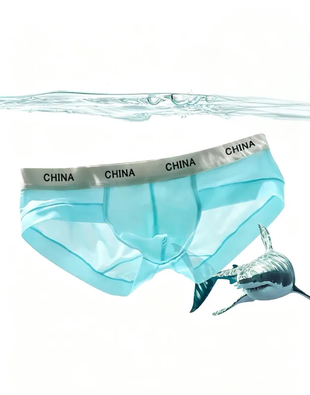 Slip en soie glacée pour hommes, Ultra fin, respirant, transparent, sous-vêtements doux, large ceinture, culotte confortable et fraîche, couleur aléatoire, 1 pièce