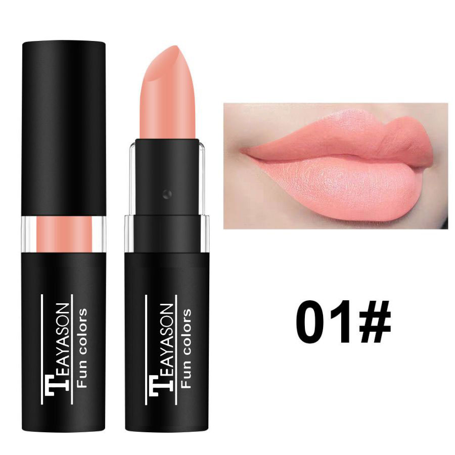 12 Color Waterproof Lasting Sexy Red Lipstick Matte Lipstick Cosmetics Lip Gloss Waterproof Long-lasting