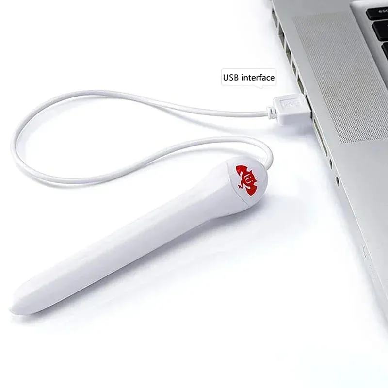 Smart Thermostat USB Heating Rod Mabilis Para sa Lalaki Masturbator Cup Sex Dolls Anal Vagina Warmer Sex Toys Para sa Mga Lalaking Pang-adultong Sex Toys