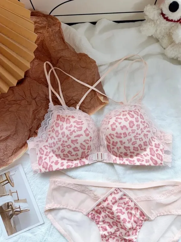 Best Selling Leopard Print Front Closure Push Up Bra Set Sexy Back Design Small Bust Enhancing Women Lingerie