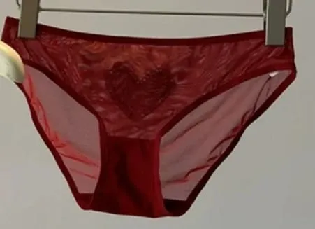Red Lingerie Set Wireless Front Hook Bra French Triangle Thin Cup Embroidery Bra Set For Festival Soft Comfortable Daily Use — image 8