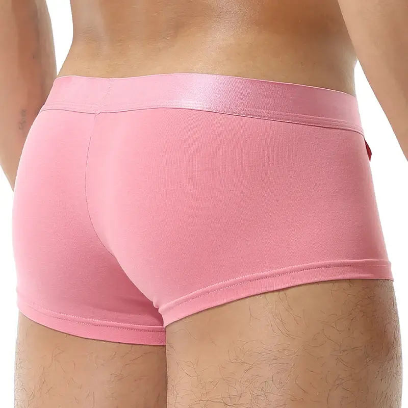 1Pcs Open Front Underwear Men Ice Silk Sexy Men's Boxer Shorts Panties Breathable Pouch Bulge Underpants Male