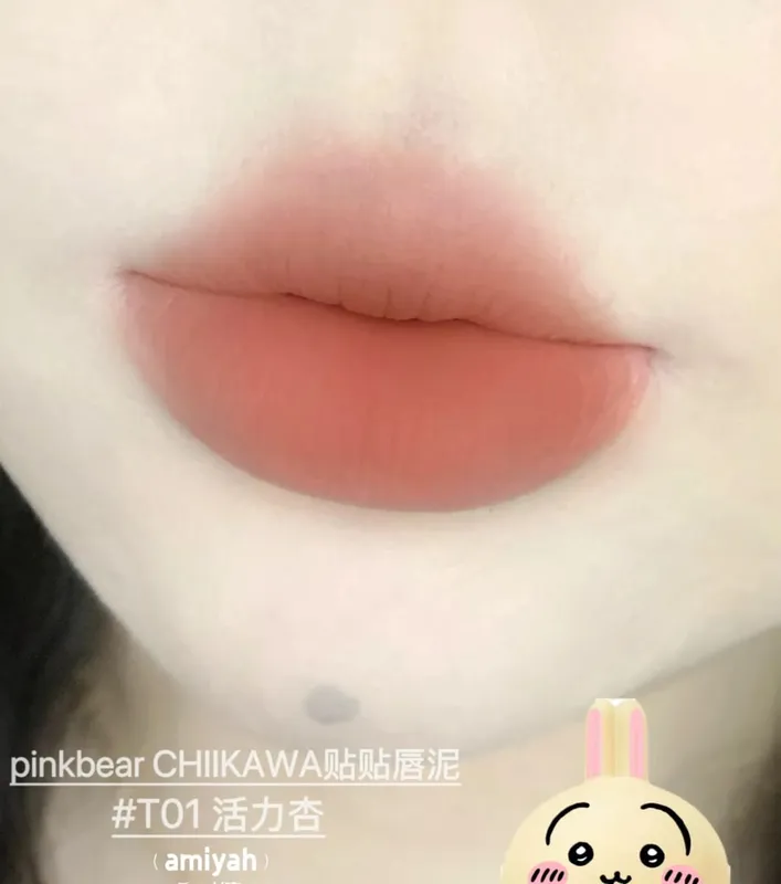 Pinkbear Single Blush Multi-purpose Cream Mirror Lip Gloss Matte Lip Cream Water Shimmer light Long Lasting Lips Makeup — image 15