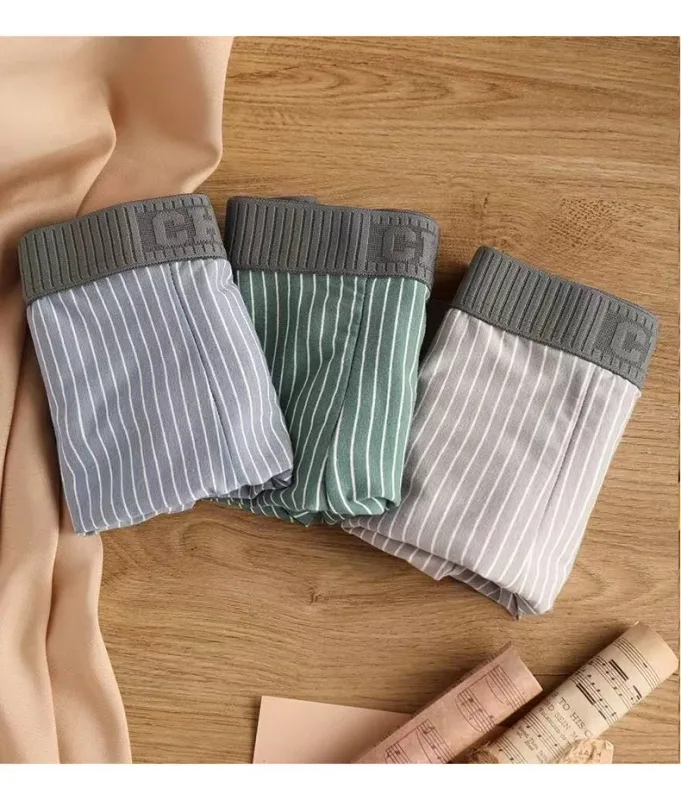 4Pcs Boxer Shorts Men's Underwear Sexy Panties Cotton Boxers Striped Underpants Male Shorts U Convex Lingerie Plus Size L-6XL