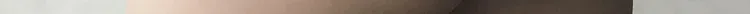Bulge Pouch Briefs Men Sexy Underwear Ice Silk Underpants Low Rise Bikini Trunks Soft Lingerie Tiger Striped Penis Bag Panties