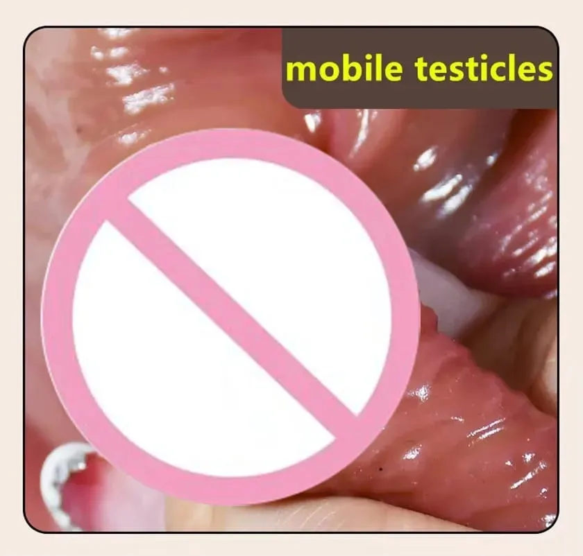 2.0 Dick Upgraded Version Of Sliding Testicle Realistic Penis For Women Sliding Foreskin Dildo Anal Sex Toy For Couple Silicone