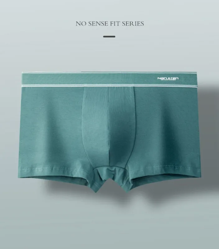 4Pcs/lot Men's Underwear Sexy Boxer Shorts Cotton Panties Man Solid Underpants Male Soft U Convex Lingerie Plus Size L-6XL
