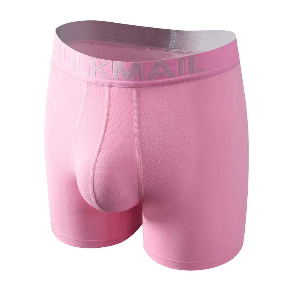 Intimo da uomo sexy Boxer da uomo 3D Custodia a forma di amaca Progettato Pannelli in rete traspirante Boxer da uomo Tronco Mutande maschili