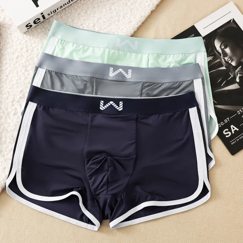 Caleçons en soie glacée pour hommes, 3 pièces/paquet, maille antibactérienne respirante, culotte à grande poche, taille haute élastique, Boxer pour hommes