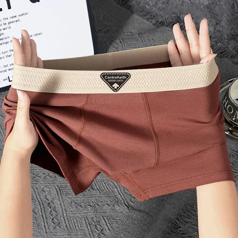 5pcs Pack Men Panties Cotton Underwear High Stretch Boxer Shorts Fashionable Sexy Men Underpant Plus Size L-4XL Breathable Men