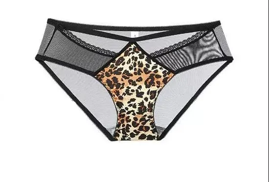 Victoria Style MOYISU Pink Leopard Wireless Bra Set Front Hook Design Push Up Bralette Sexy Back Lingerie To Boost Small Bust — image 26