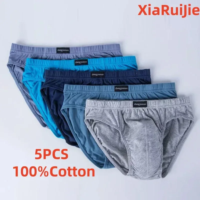 男士棉質內褲男內褲男內褲內褲褲短褲性感內褲尺寸 XL 至 6XL 2/3/4/5 件/批 — image 2
