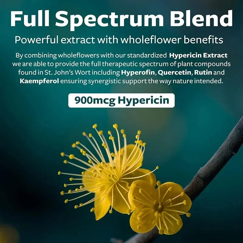 St. John's Wort - Relaxation Supplement That Helps Soothe The Nervous System Relieve Stress Improve Mood and Regulate Sleep