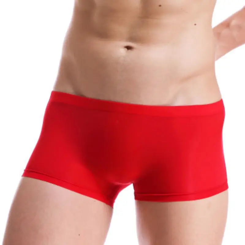 Men Trunks Ice Silk Boxer Thin Translucent Panties Sexy Breathable Underwear Low-Rise U Convex Underpants Knickers Slip Homme — image 3