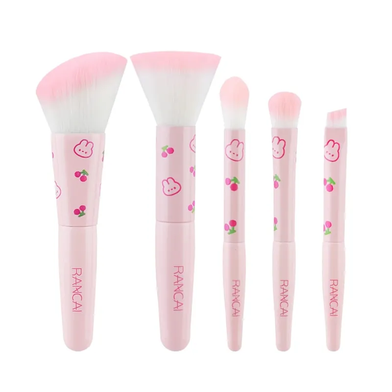 5-delige schattige compacte make-upborstelset met etui Premium borstel voor onberispelijke foundation Blush oogschaduwtoepassing Beauty Tools