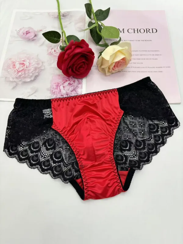 Sexy men underwear elasticity smooth underpants Transparent, breathable, Red lace Men's Briefs