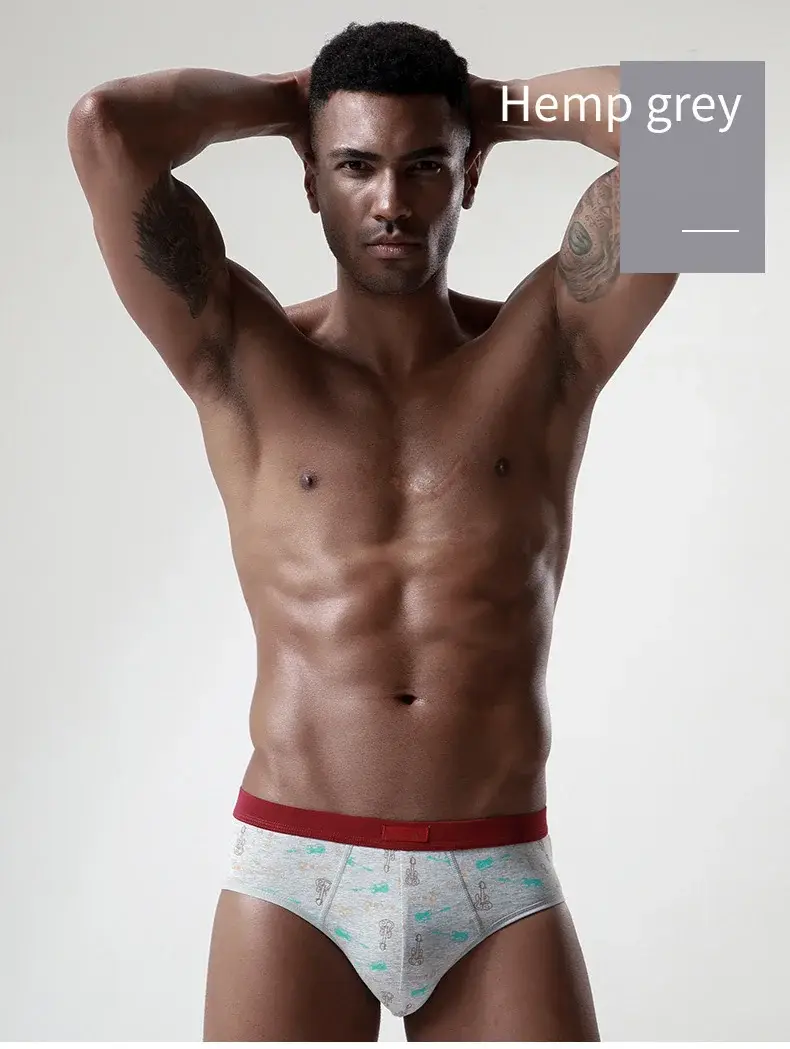 Cotton Man's Underwear Plus Size Briefs Sexy Underpants Breathable Briefs Bikini Gay Print Shorts Cueca Male Panties — image 12