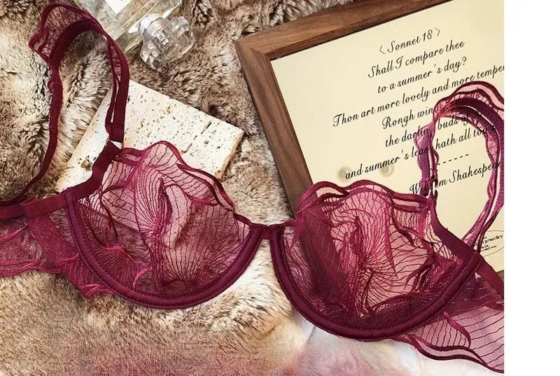 French Embroidery Lace Bra Set For Women Ultra Thin Sheer Minimizer Bra Hollow Out Lingerie Brassiere 32-38AB Elegant Daily Wear